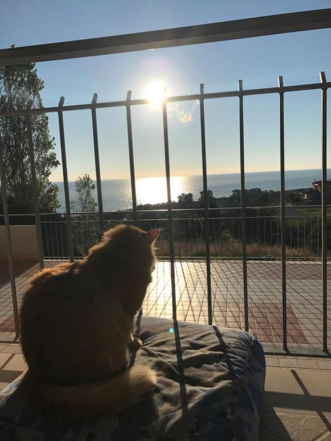 Luna Apartaments Badolato Marina エクステリア 写真